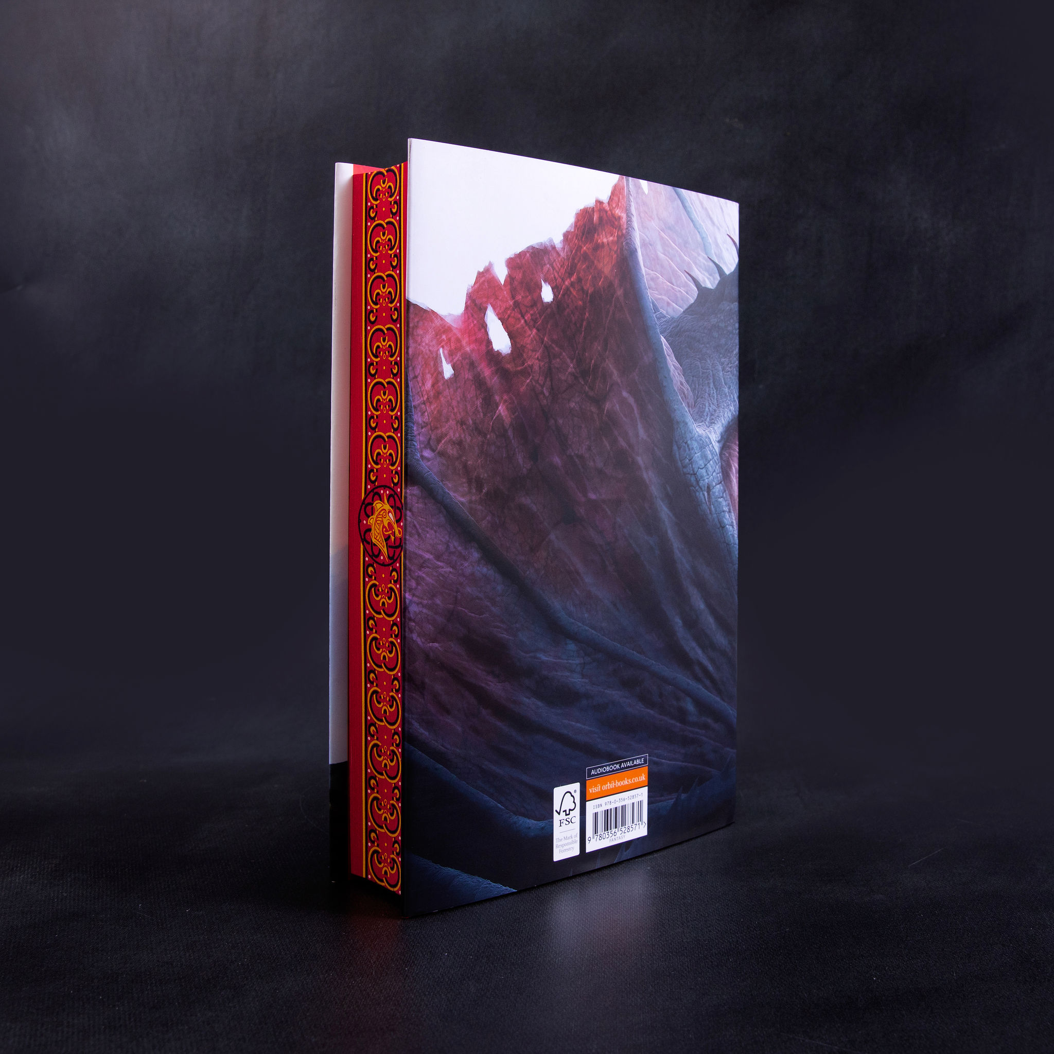 The Shadow of the Gods back cover