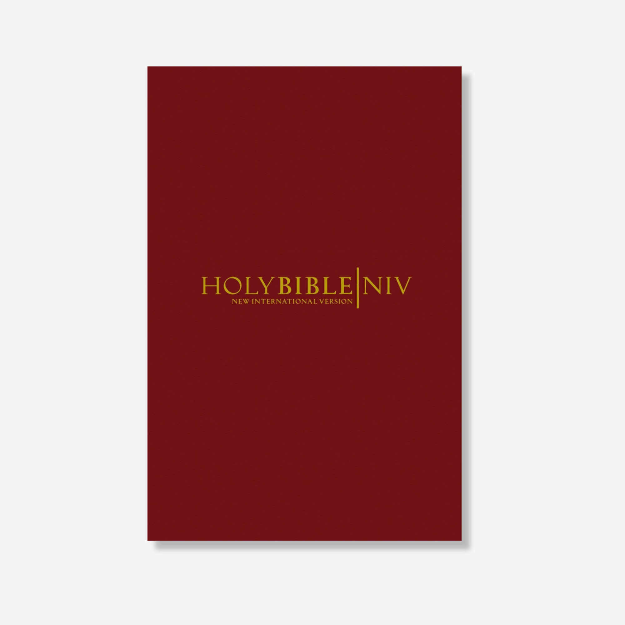 NIV Popular Burgundy Hardback Bible