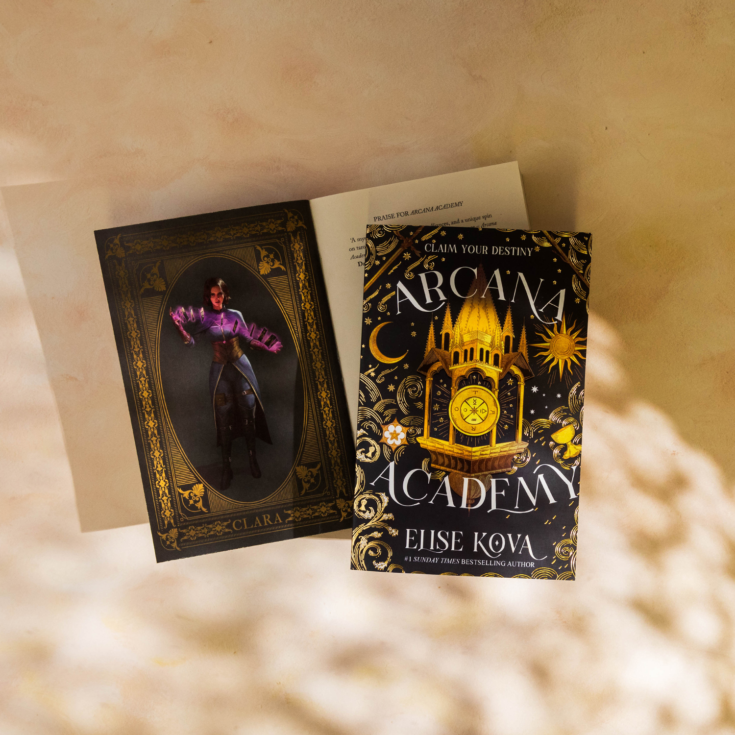 Arcana Academy character art inside cover printing - front