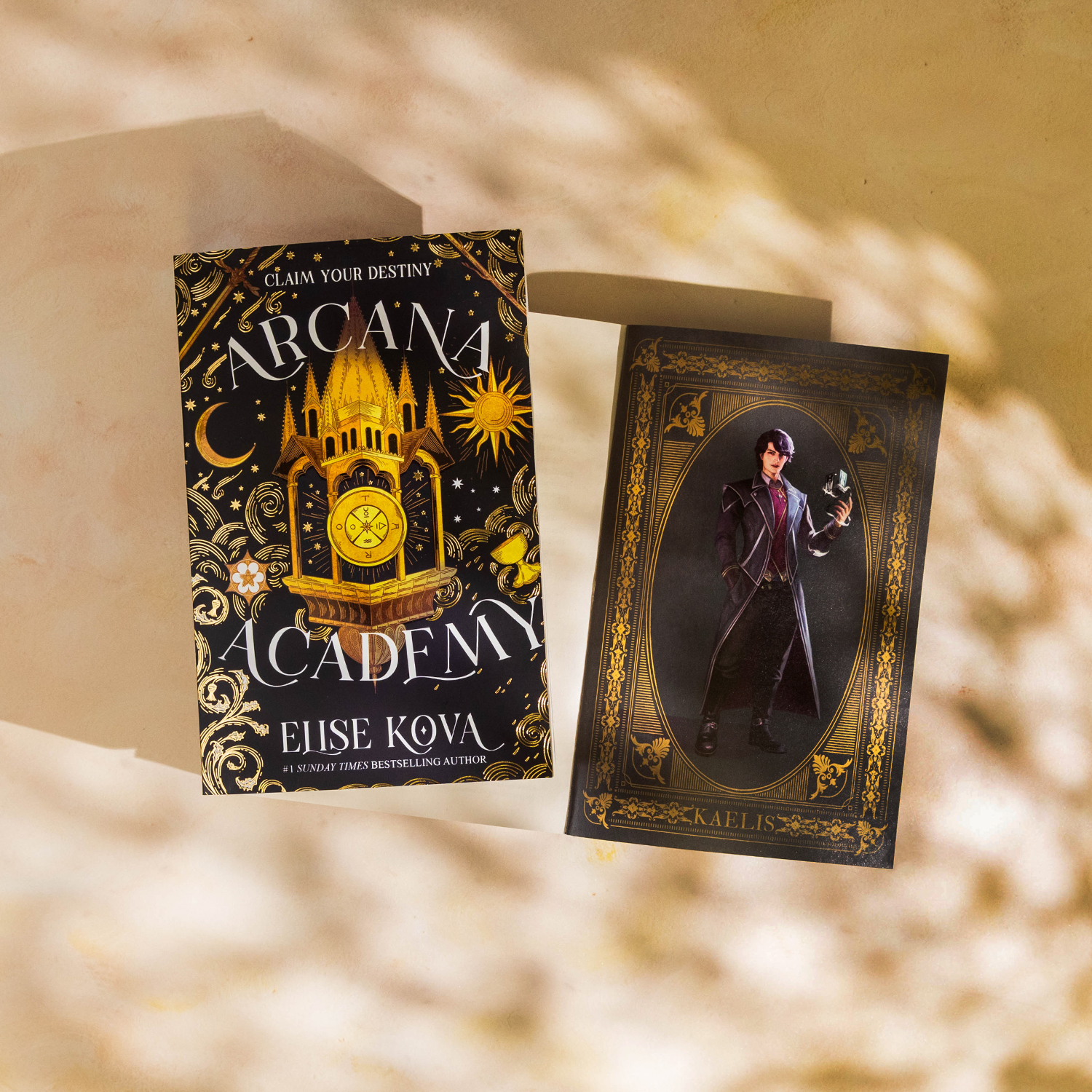 Arcana Academy character art inside cover printing - back